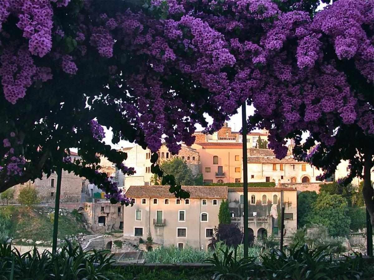 Hotel Rural Hd Riudebitlles Art I Allotjament Sant Pere de Riudebitlles Eksteriør bilde